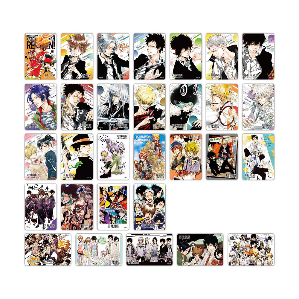 『家庭教師ヒットマンREBORN!』マグネットステッカーコレクション　（全30種／ランダム2種入り）　＜天野明展＞