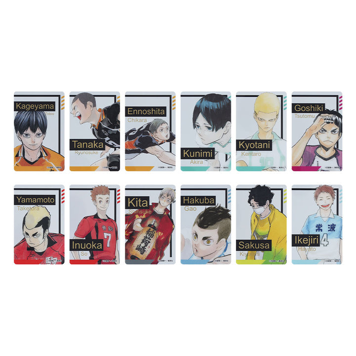 『ハイキュー!!』箔押しクリアカードコレクション　全種セット　（全48枚入り）　＜ハイキュー!!　FAN PARK＞
