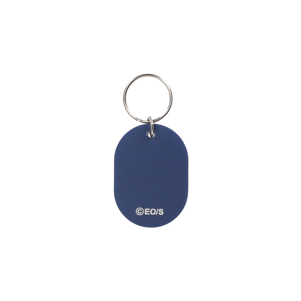 【RofJ】『ONE PIECE』ACRYLIC TAG #1フランキー