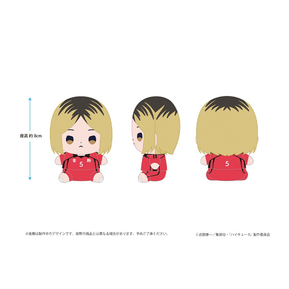 ハイキュー!! もっちび ぬいぐるみ 孤爪研磨