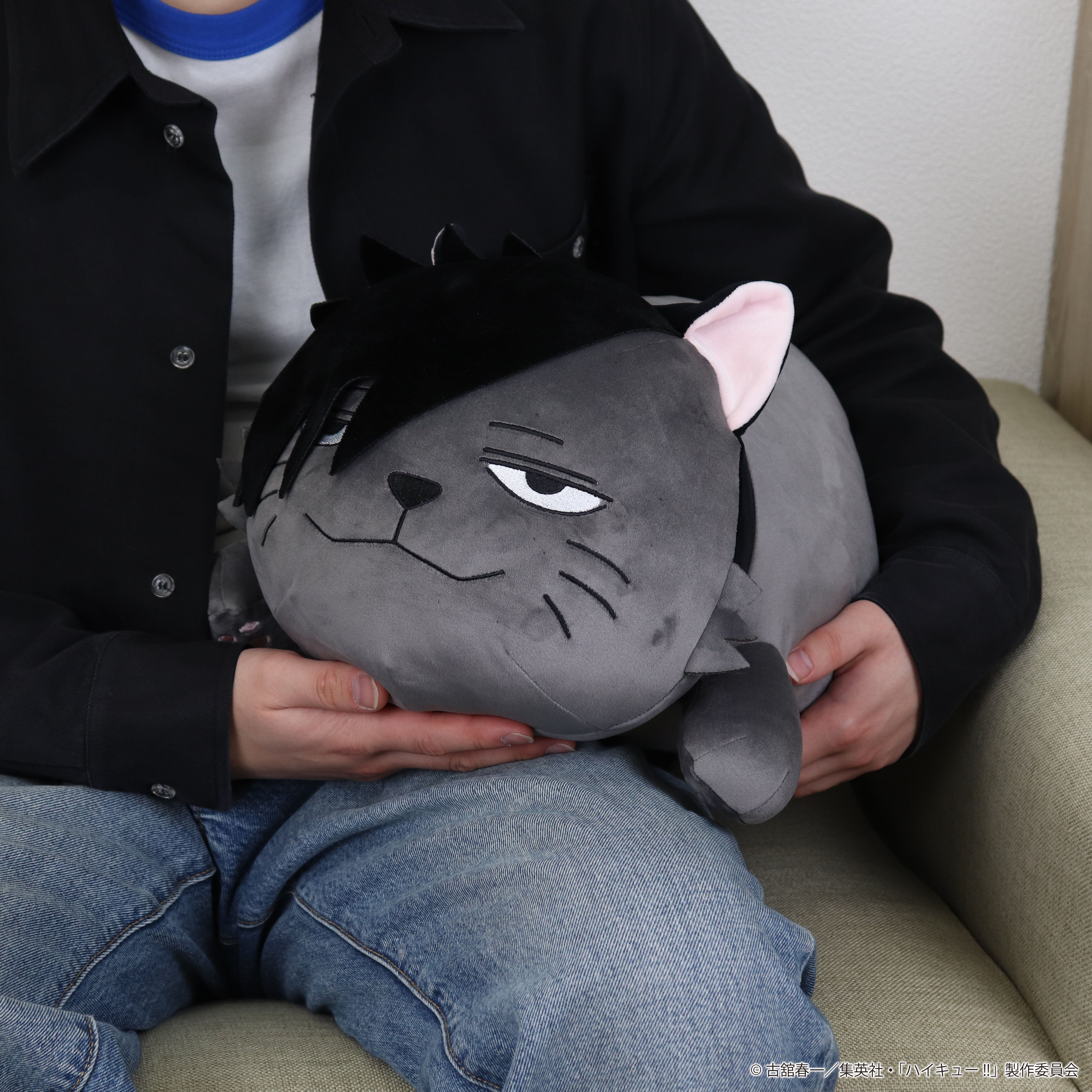 新品 猫のヤーコプ お昼寝クッション 枕 JC301110 ハイキュー!! クロオネコのお昼寝クッション – JUMP SHOP