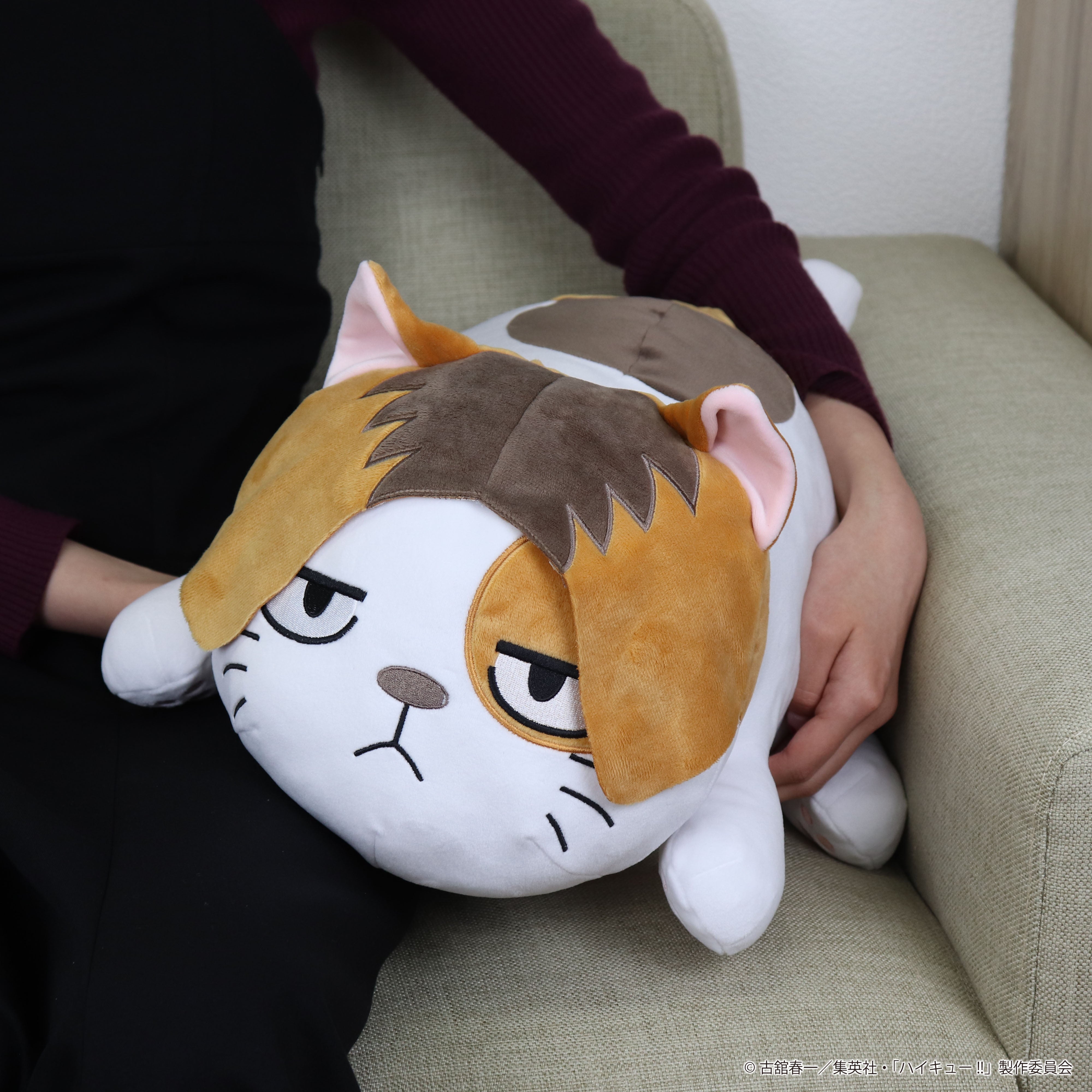 新品 猫のヤーコプ お昼寝クッション 枕 JC301110 ハイキュー!! ケンマネコのお昼寝クッション – JUMP SHOP