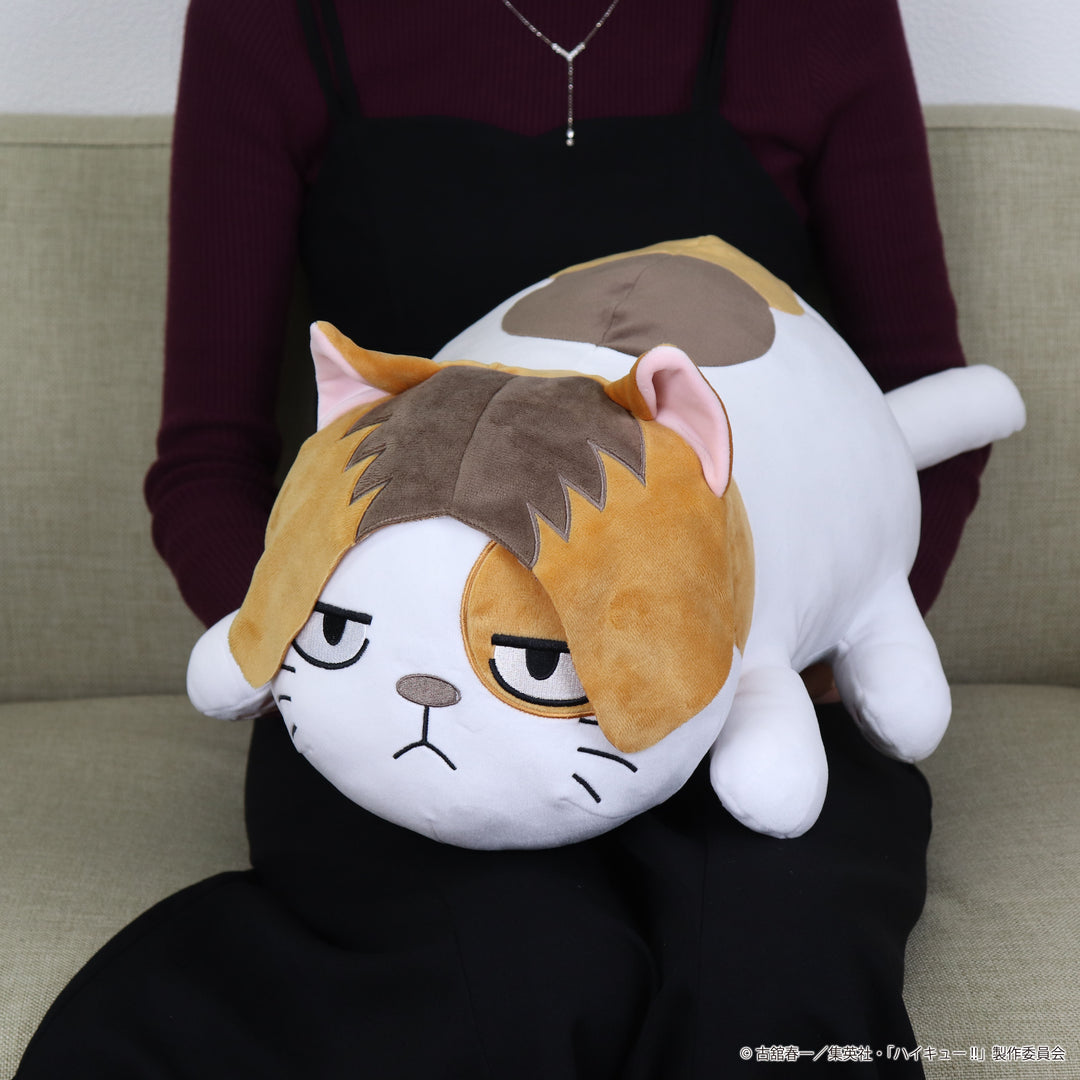 ハイキュー!!　ケンマネコのお昼寝クッション