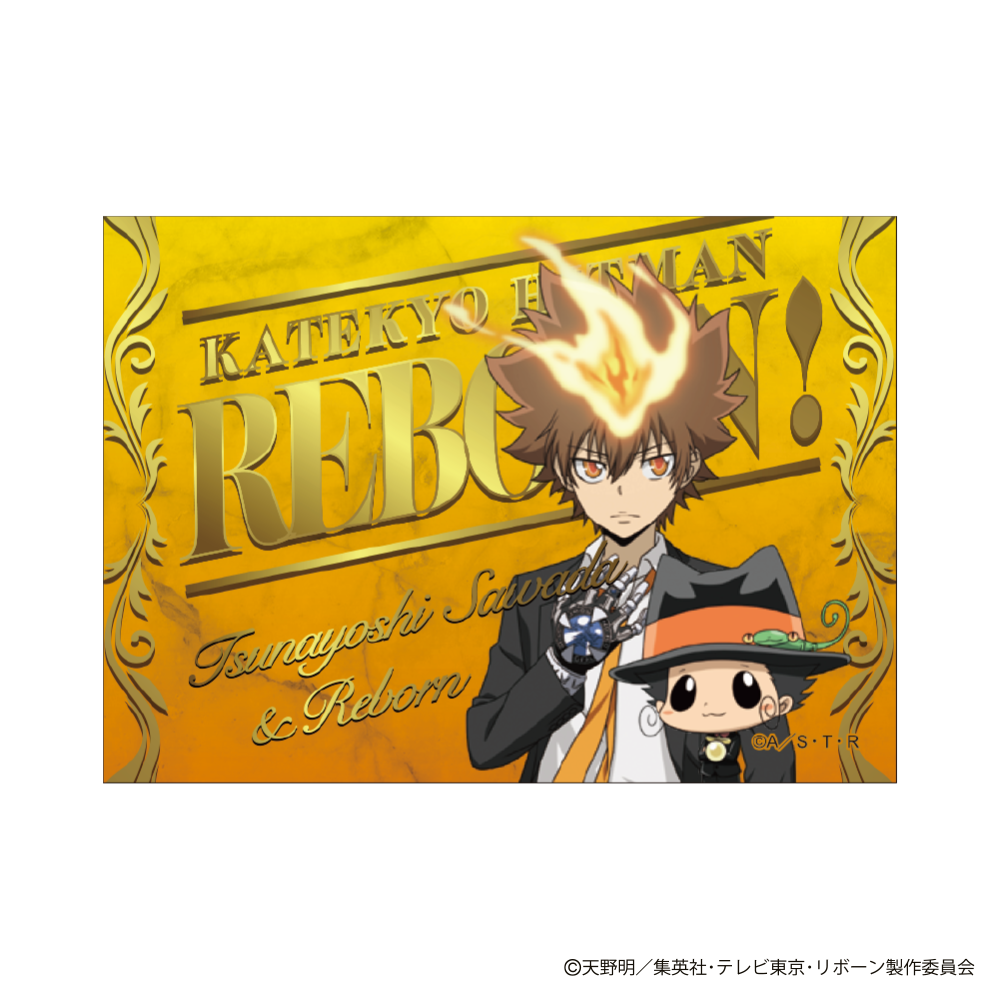 TVアニメ『家庭教師ヒットマンREBORN!』 ボンゴレフェスタ2026 ボンゴレリング 大空 特製カード付