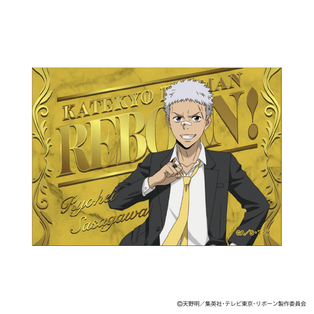 TVアニメ『家庭教師ヒットマンREBORN!』 ボンゴレフェスタ2026 ボンゴレリング 晴　特製カード付