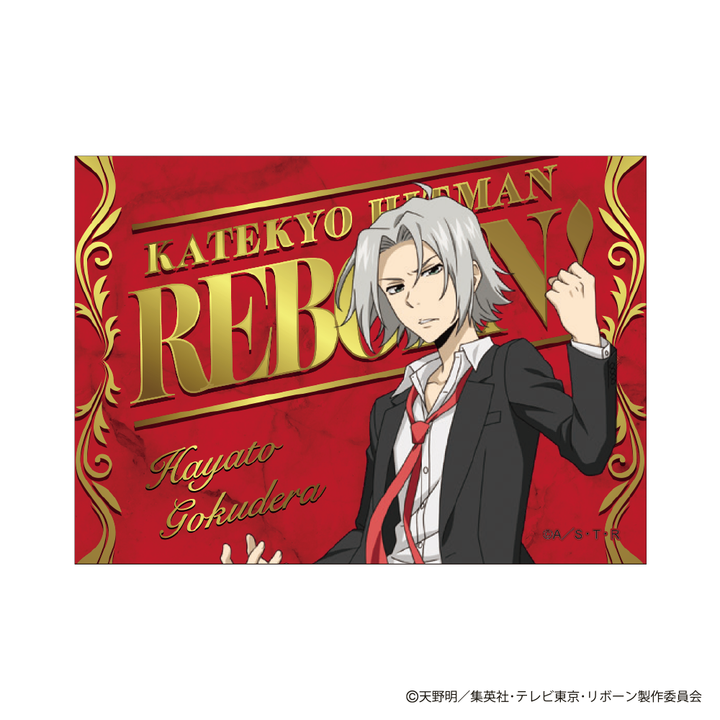 TVアニメ『家庭教師ヒットマンREBORN!』 ボンゴレフェスタ2026 ボンゴレリング 嵐　特製カード付