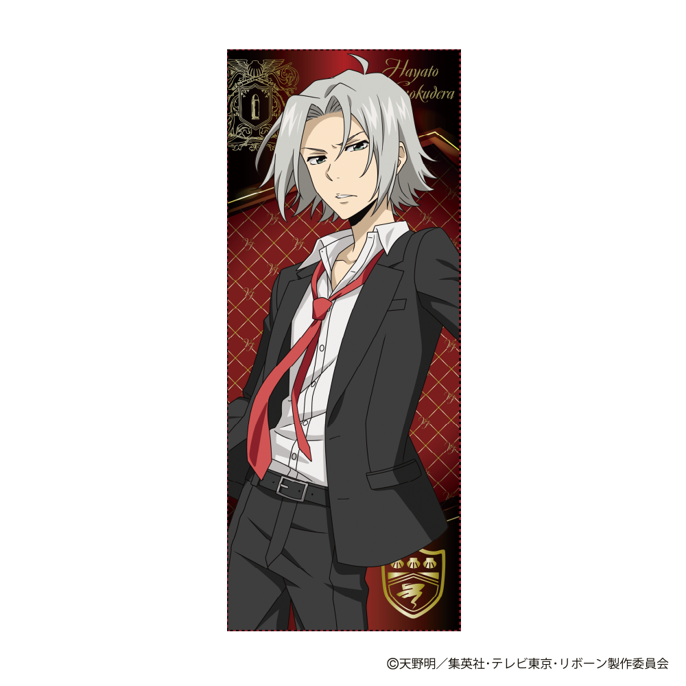 TVアニメ『家庭教師ヒットマンREBORN!』 ボンゴレフェスタ2026  大判タオル 獄寺 隼人